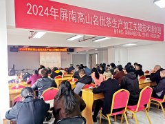 贯尺度 强质量丨屏南举办高山名优茶出产加工环